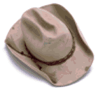 cowboyhat.gif
